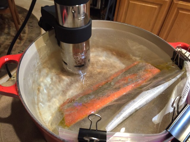 Salmon in its sous vide jacuzzi